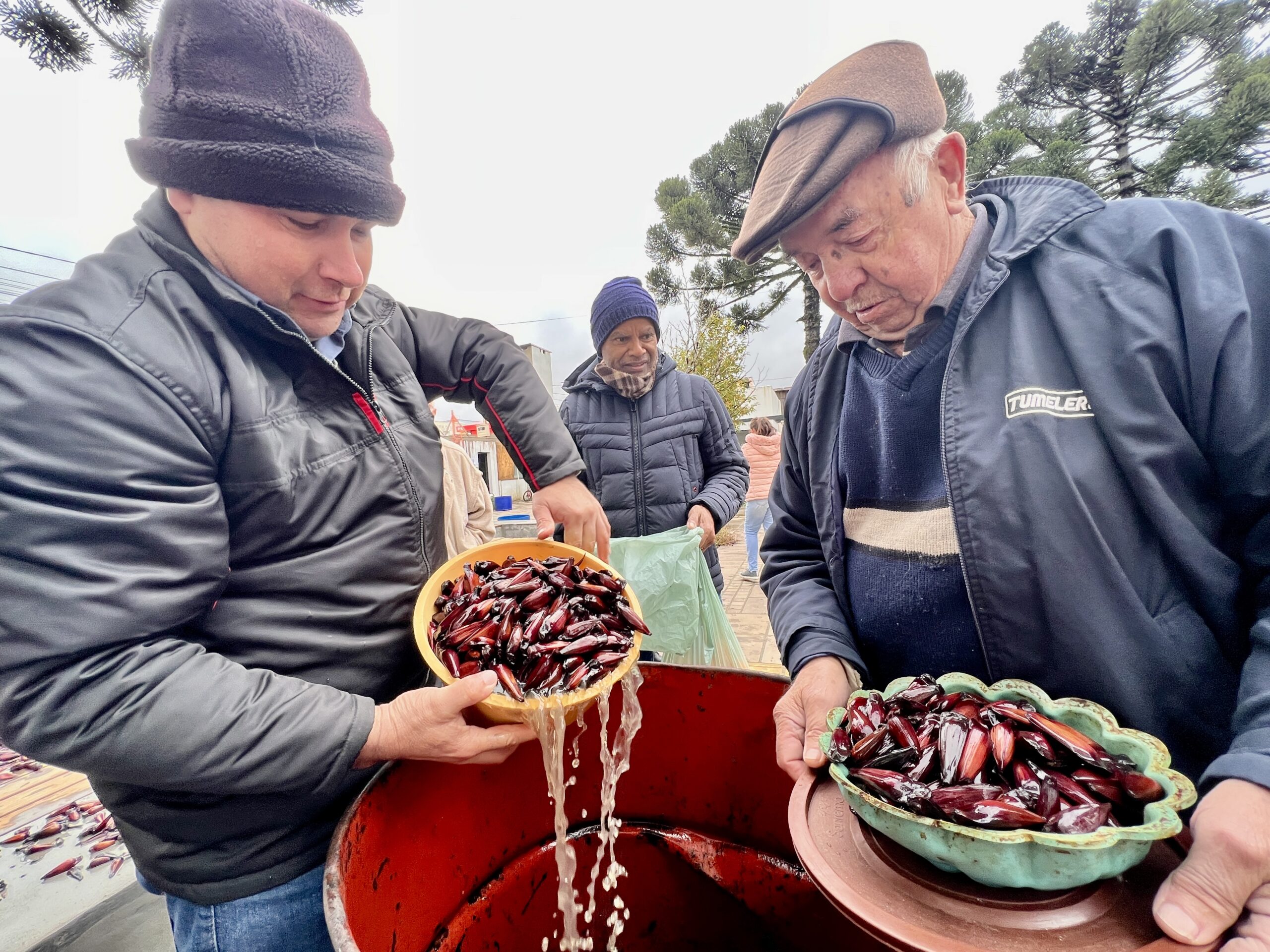 Festa do Pinhão acontece neste final de semana