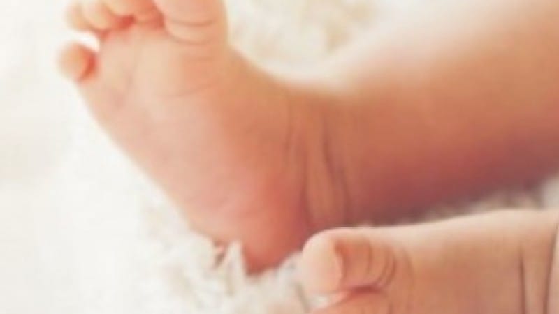 Diagnóstico da toxoplasmose congênita é incluído no Teste do Pezinho