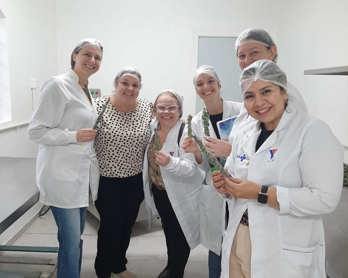 Profissionais da saúde realizam capacitação na Farmácia Viva