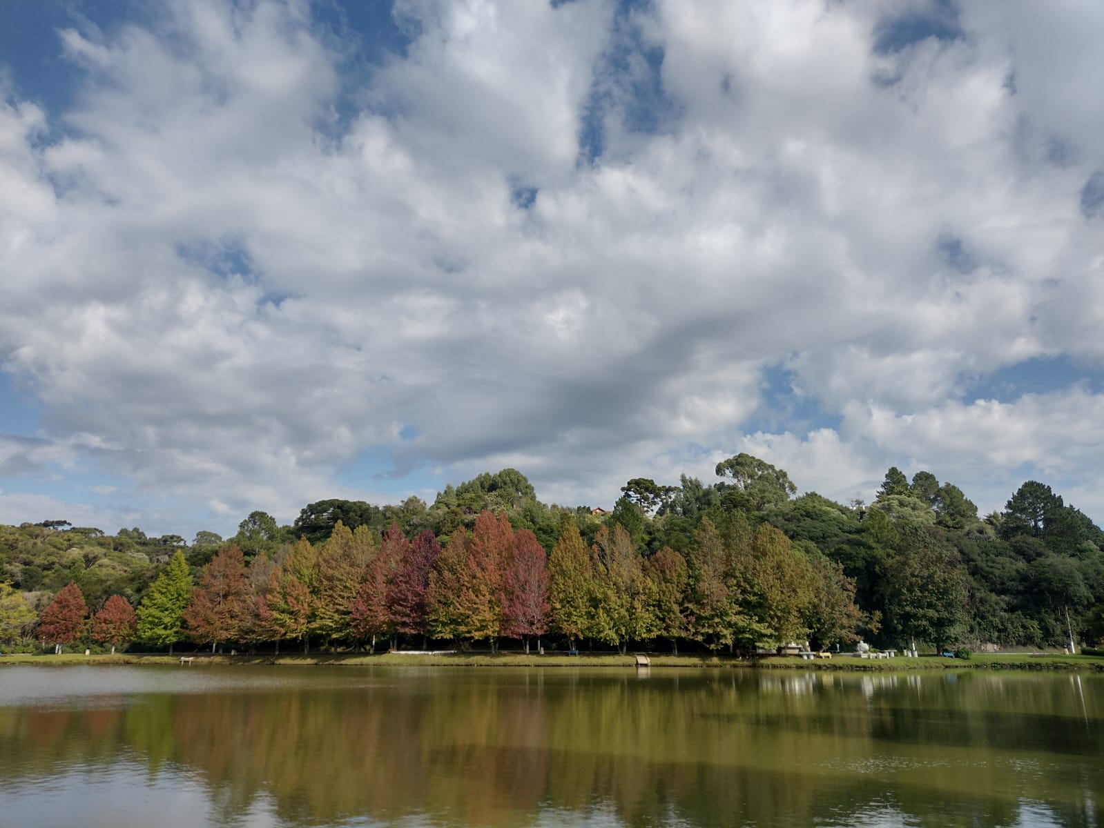 Experimenta São Chico inova cidade serrana