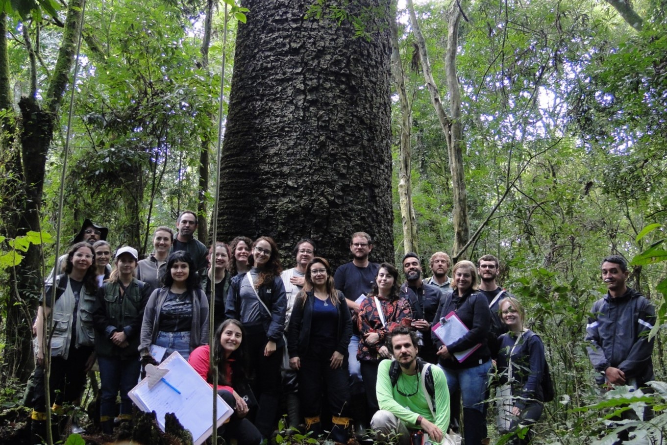 Gramado aprimora gestão ambiental com especialização em árvores nativas